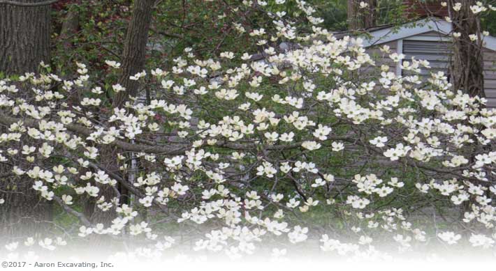 Environmental Services for your projects. Environmental Services for your projects.
